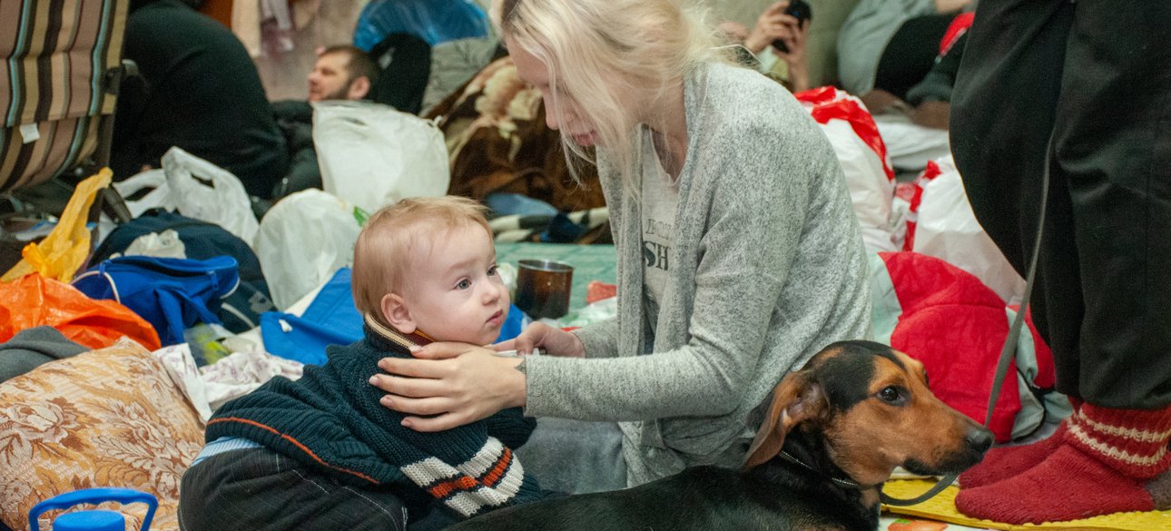 убежище, тревога