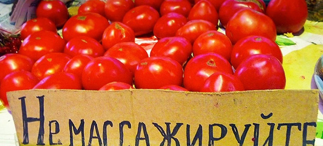 Фото: fit4brain.com