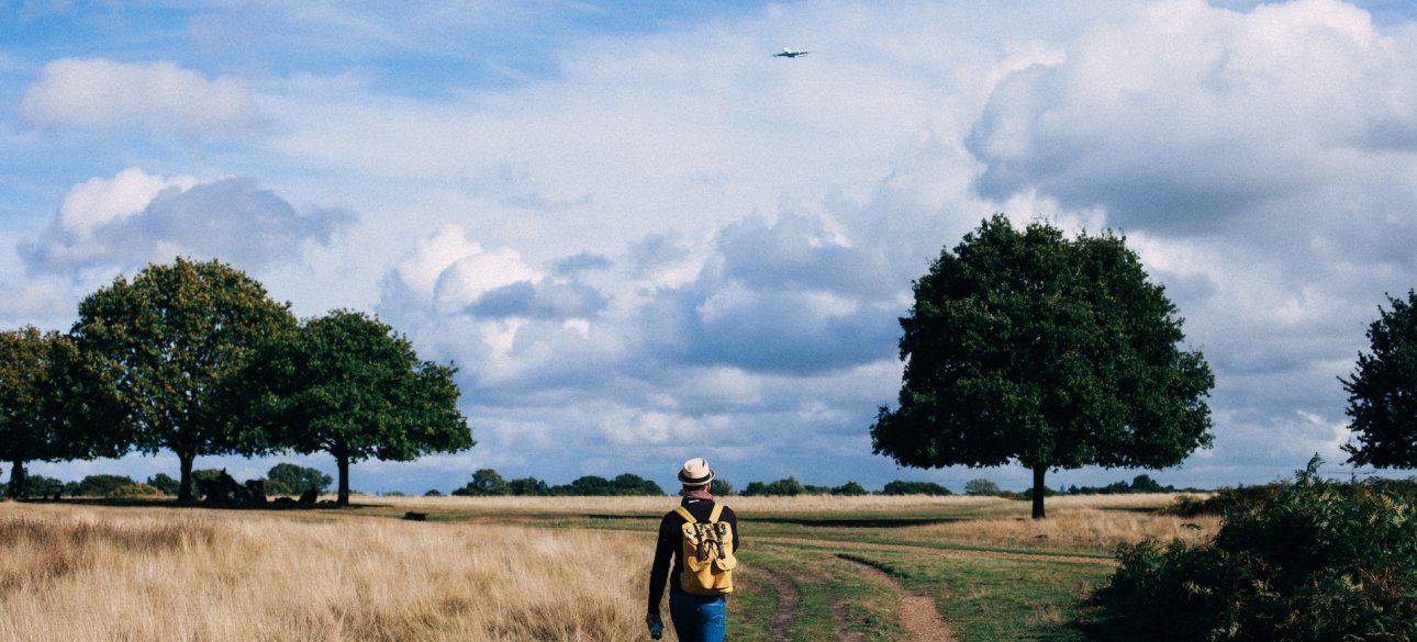 Ходьба на природе ходьба, прогулка, здоровый образ жизни