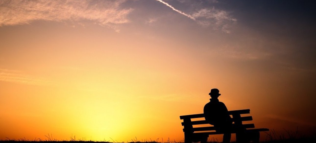 Фото: Бизона