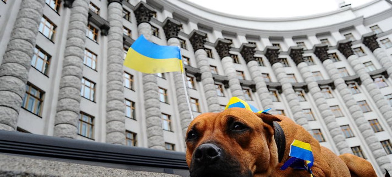 Фото: rama.com.ua