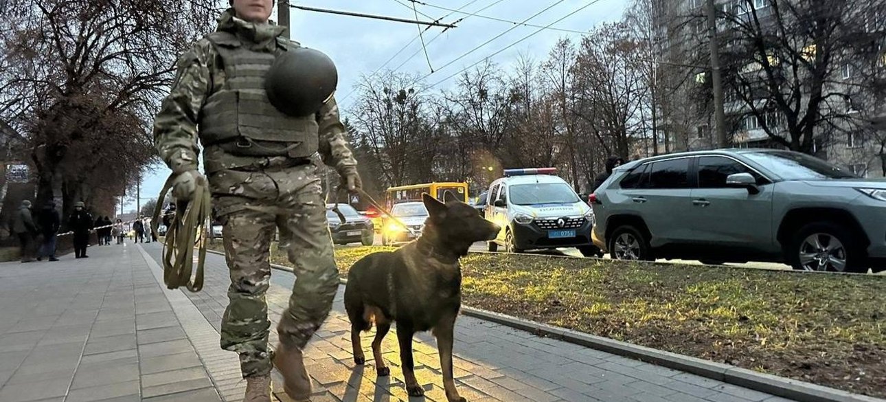 полиция, собака, взрыв, ТЦК