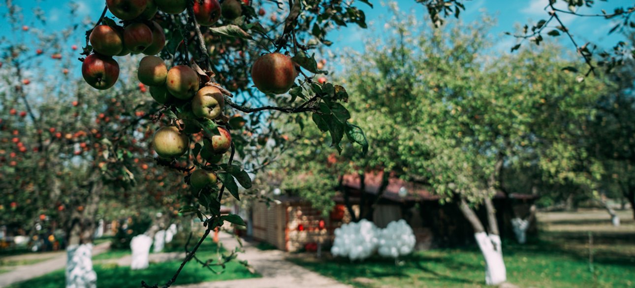 Фото: Евгения Драч