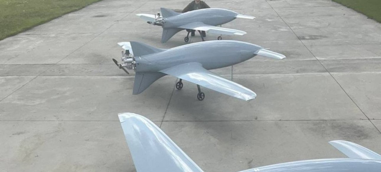 дроны, бобры