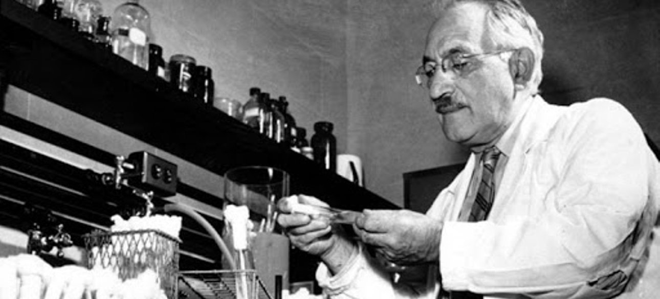 Первооткрыватель стрептомицина Зельман Ваксман