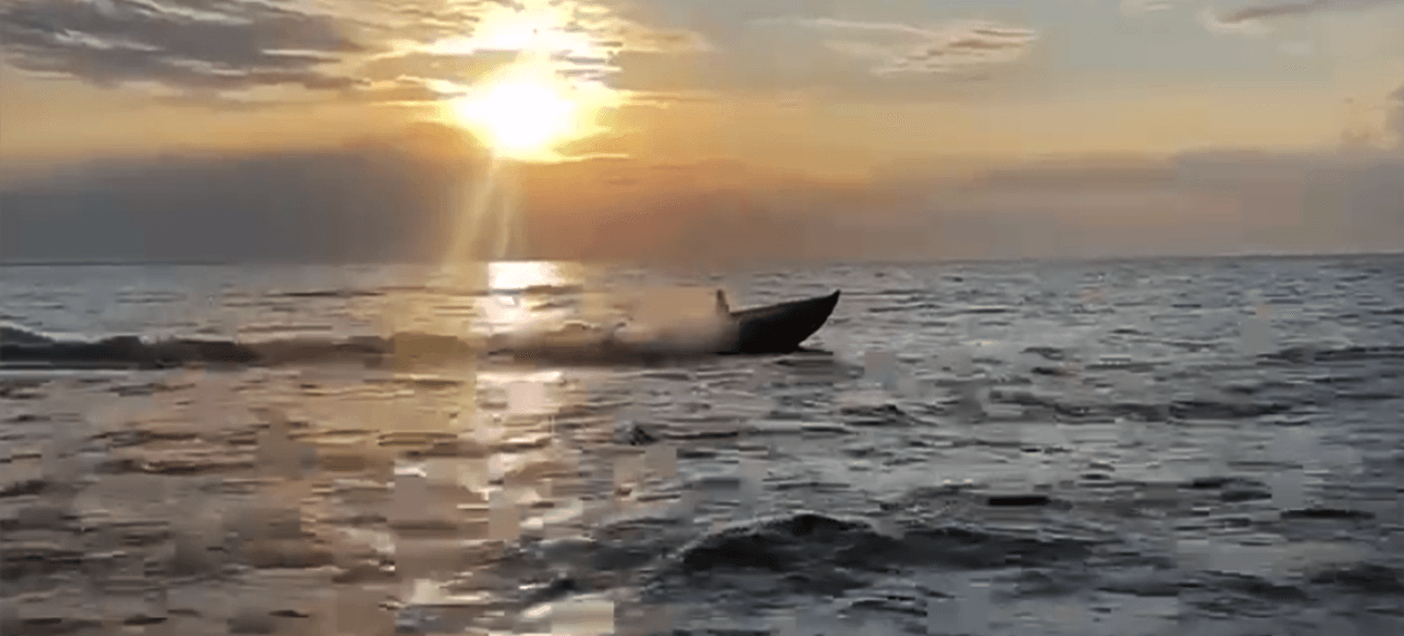 дрон, безпілотник, Magura