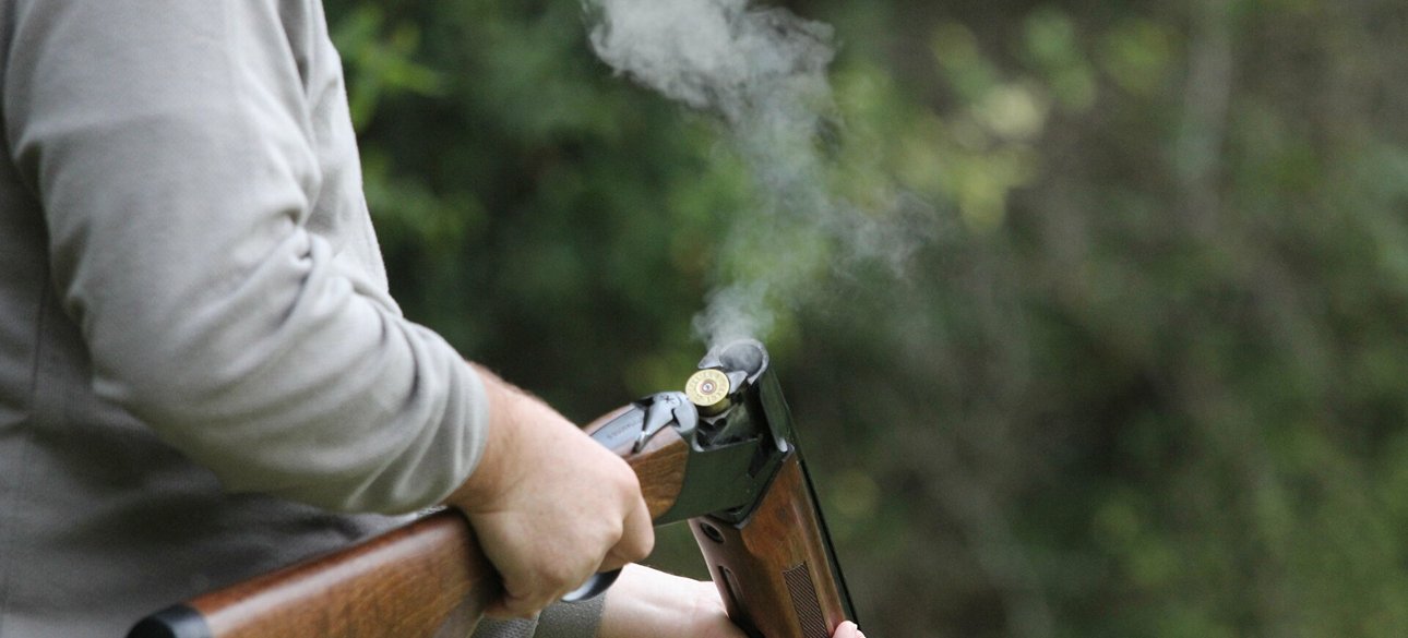 зброя, дозвіл на зброю