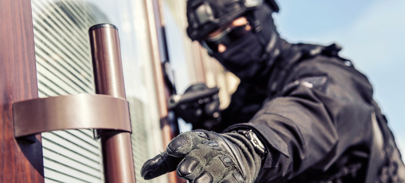 обыск, маски-шоу