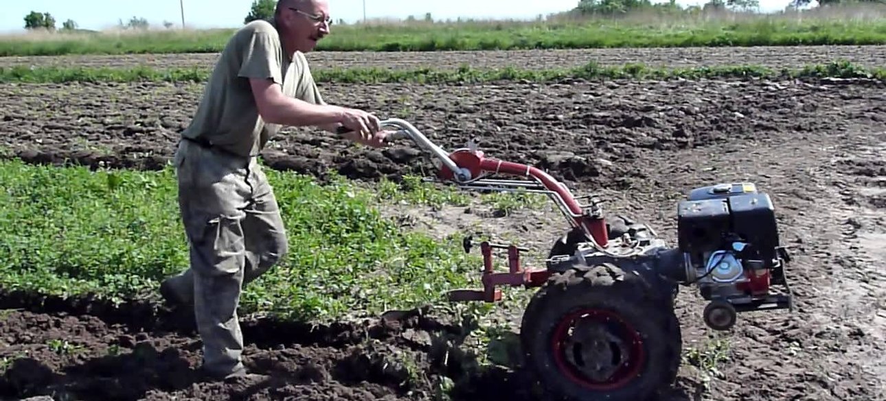 Иллюстративное фото