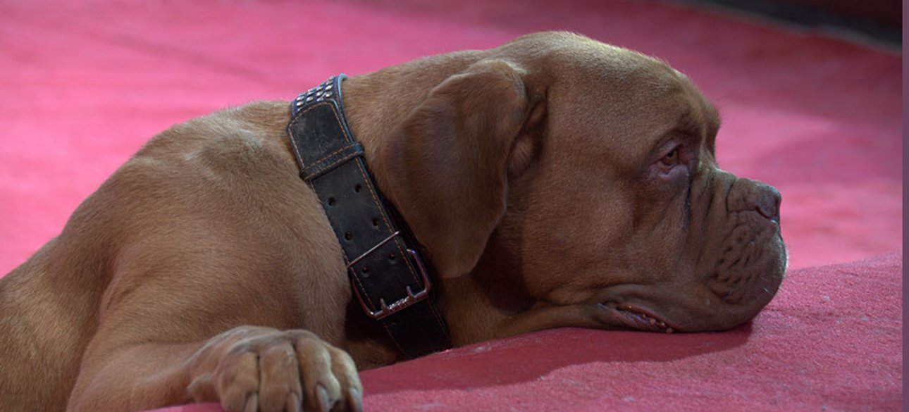 Фото: snow_alis - LiveJournal