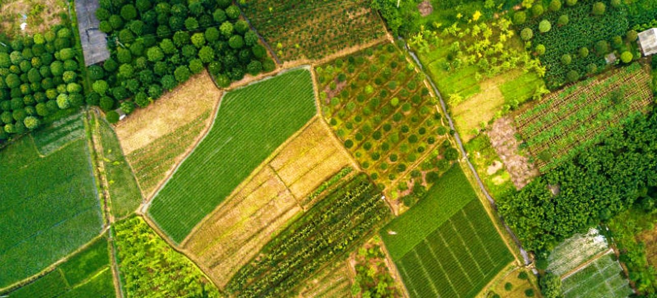 Від сьогодні українці офіційно отримали можливість купити трішки української землі — не більше 100 га в одні руки.