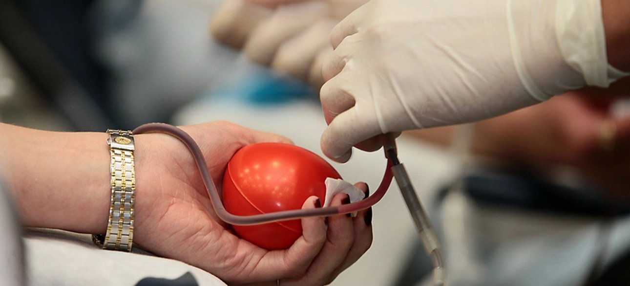 Фото: открытые источники