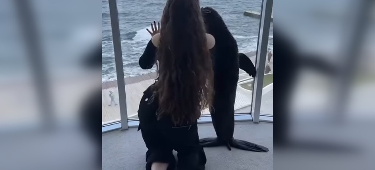 защита животных, одесса, котики, дельфинарий, издевательство над животными, одесский дельфинарий, дельфин немо, дельфинарий немо