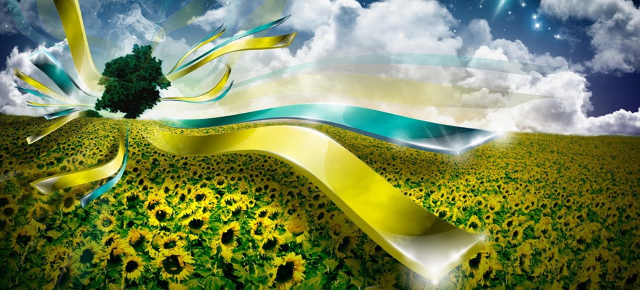 Фото: открытые источники