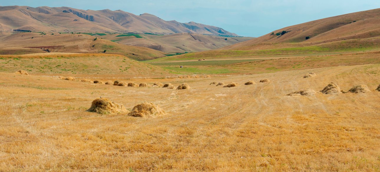 Ферганская долина, Средняя Азия, Центральная Азия