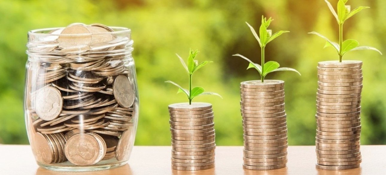 деньги растут, поле чудес, инвестиции