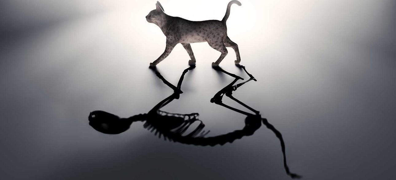 Иллюстрация: Mopic/Shutterstock