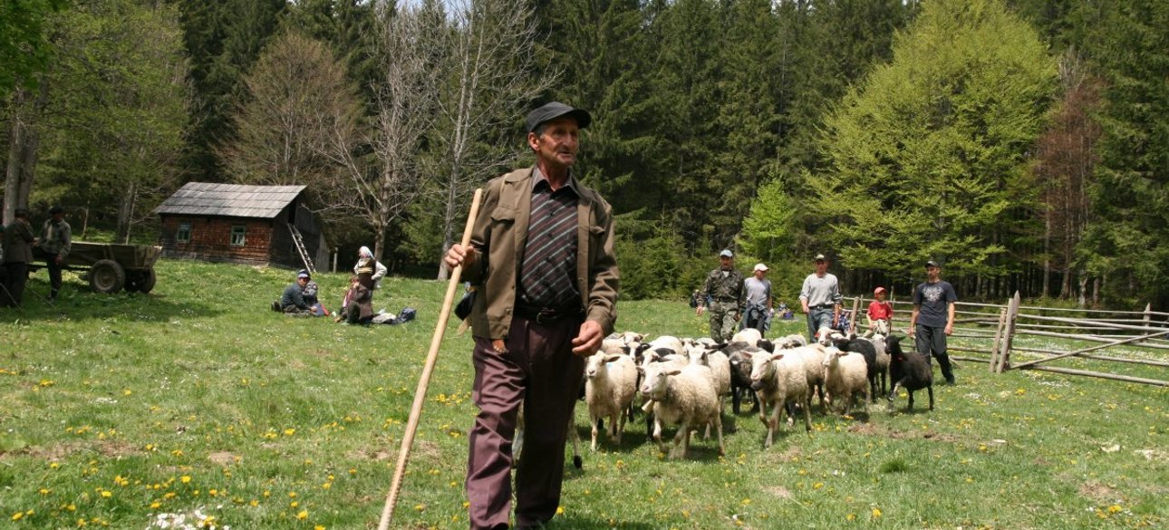 гуцул, карпаты