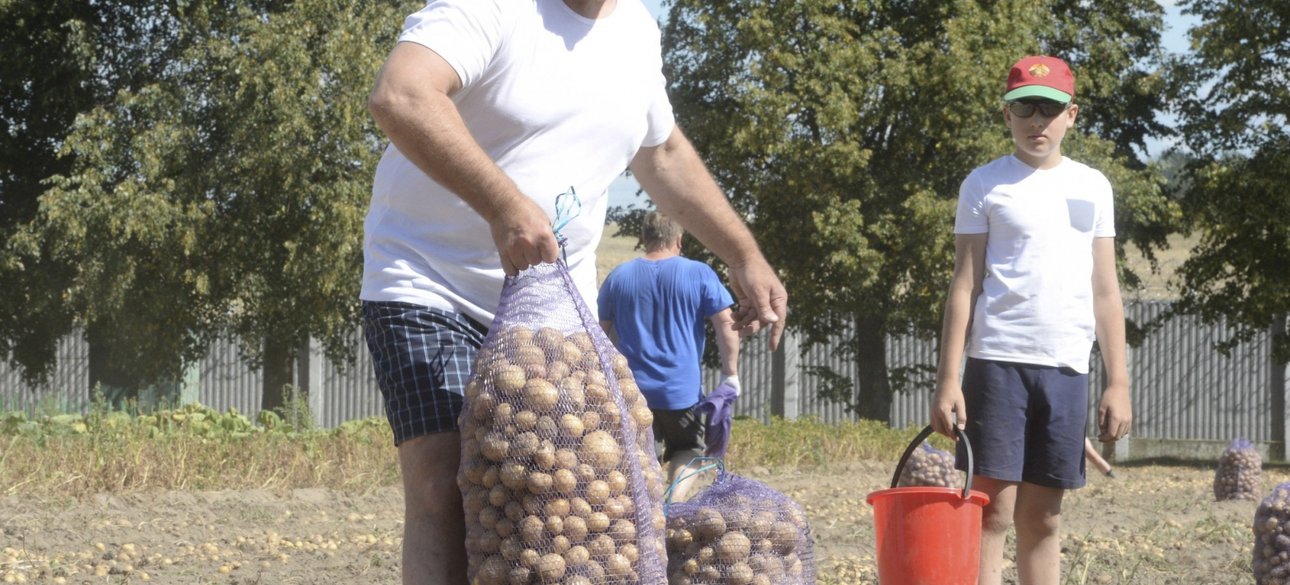 Фото: Наша Нива