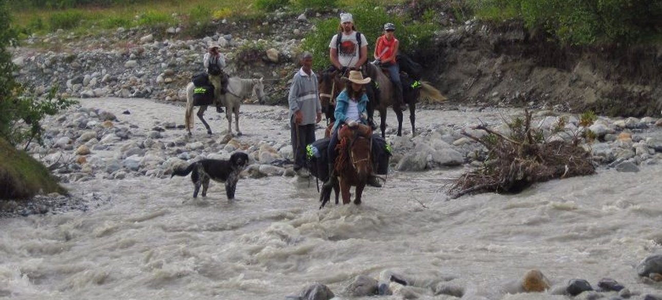 Фото: Алена Ларионова