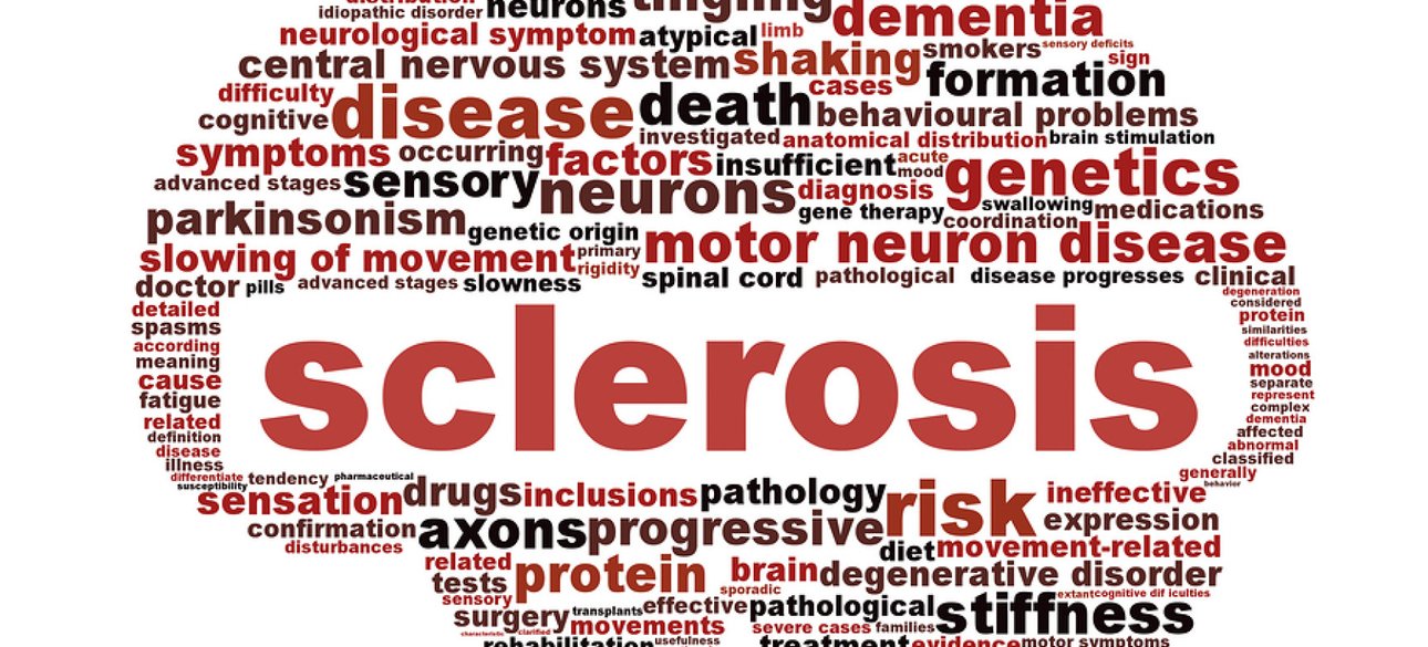 Фото с сайта Meddoc