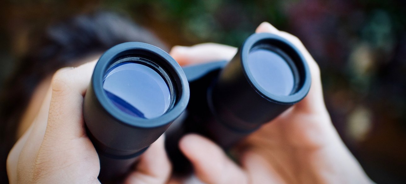 Спостереження в бінокль