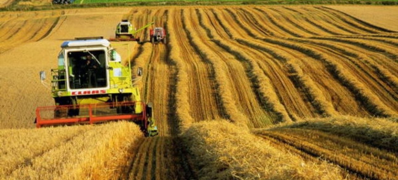 Украина - житница Европы