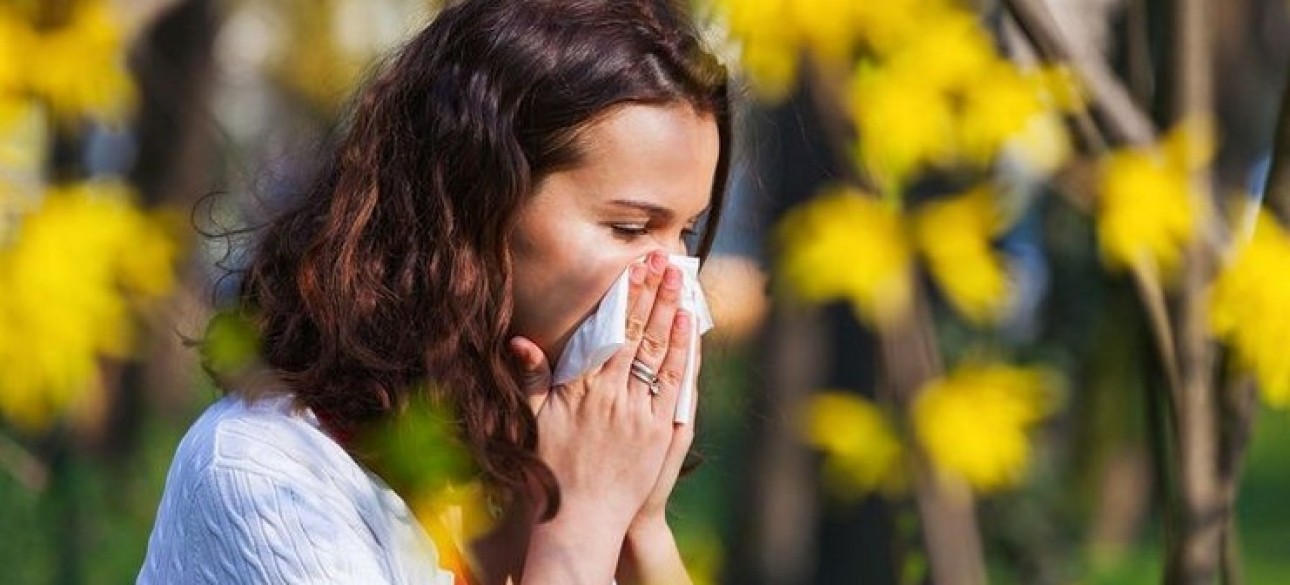 Алергія, алергічний риніт, антигічтамінні препарати, як лікувати алергію, як вилікувати алергію