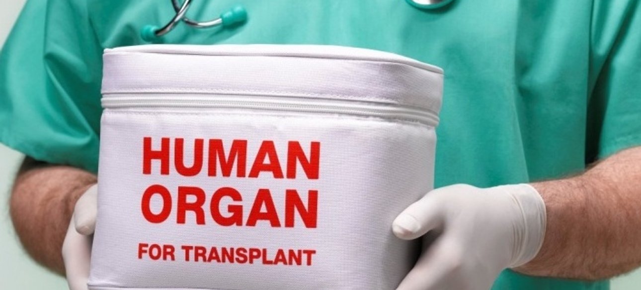 Фото: zdorov-info.com.ua