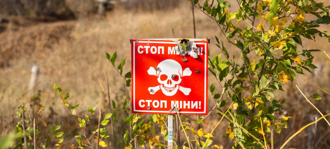 мины, поле,  минное поле, Украина разминирование, разминирование Украины