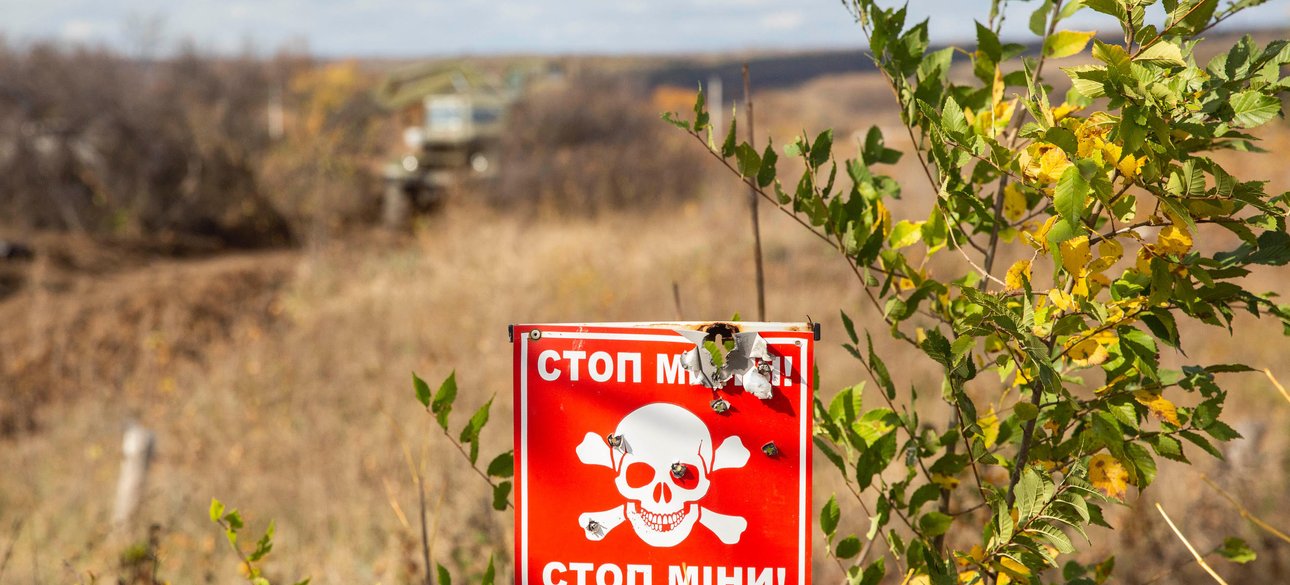 мины, поле,  минное поле, Украина разминирование, разминирование Украины