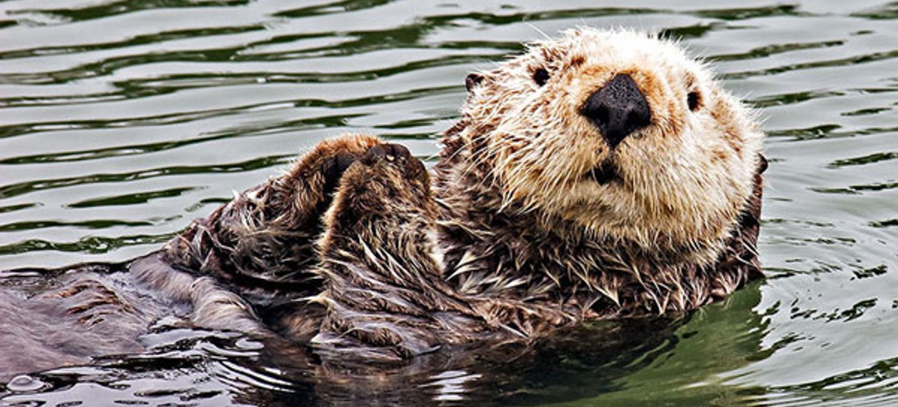 Иллюстративное фото