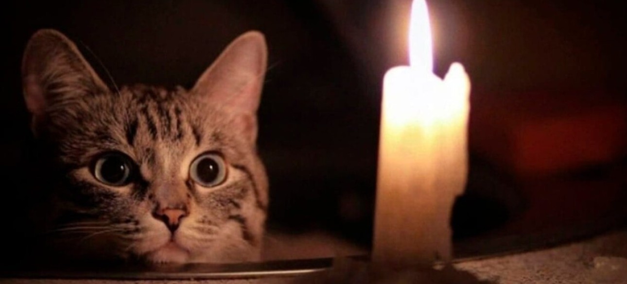 Киев, свечка, кот свеча, темно, темень, отключение электроэнергии в Киеве, свет, график веерных отключений