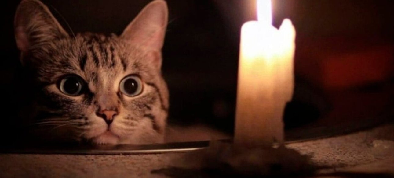 Киев, свечка, кот свеча, темно, темень, отключение электроэнергии в Киеве, свет, график веерных отключений