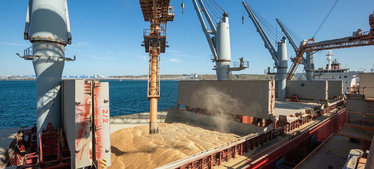 зерно зерно, экспорт, черное море