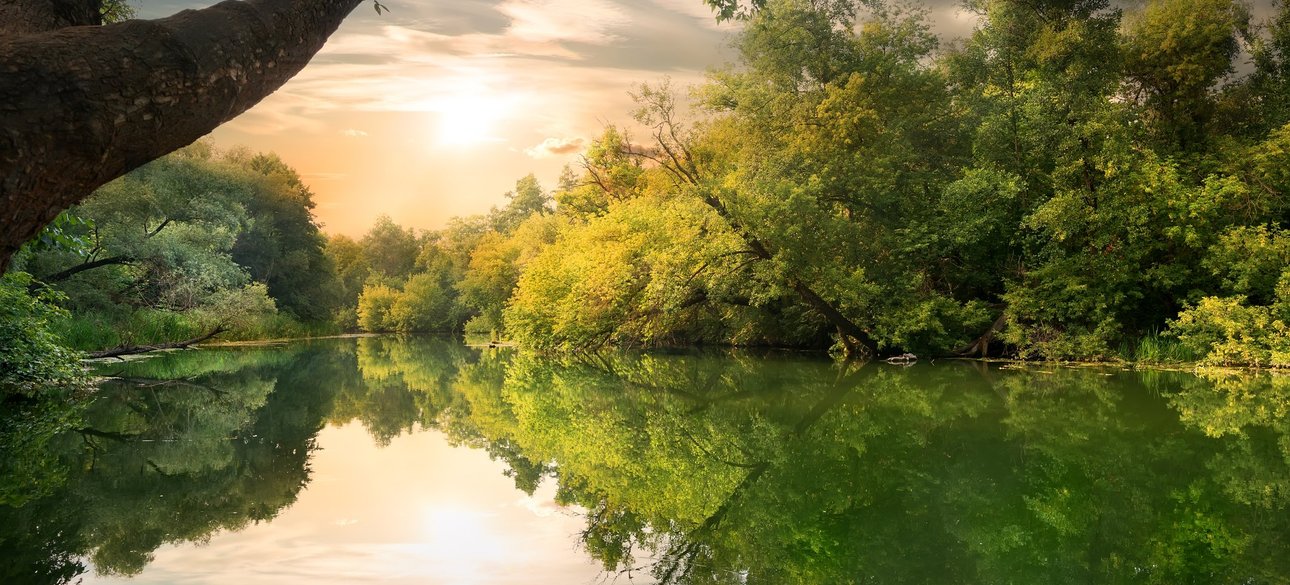 Мальовничі береги річки Сіверський Донець