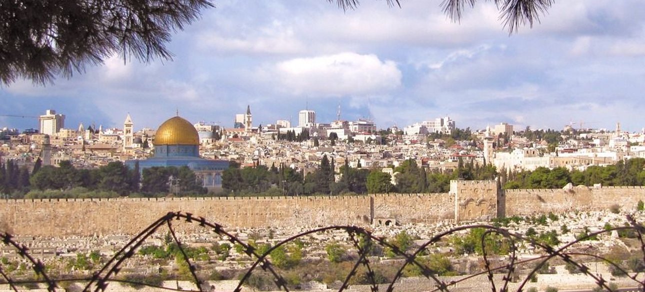 Фото: открытые источники