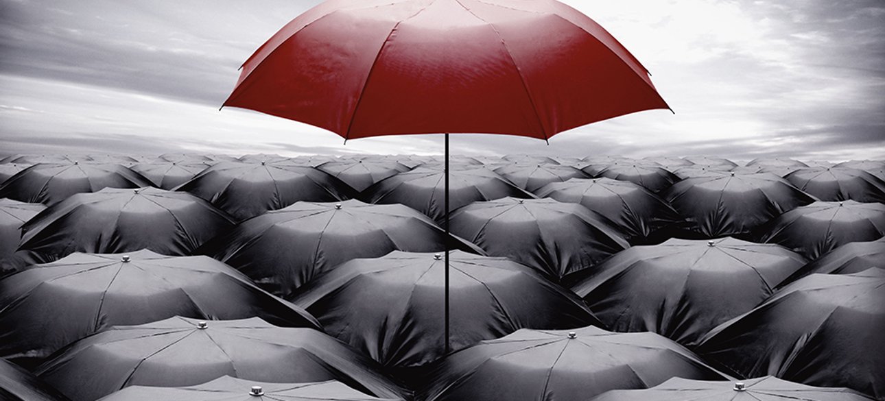 Фото: открытые источники