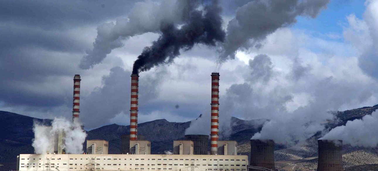 Фото: открытые источники