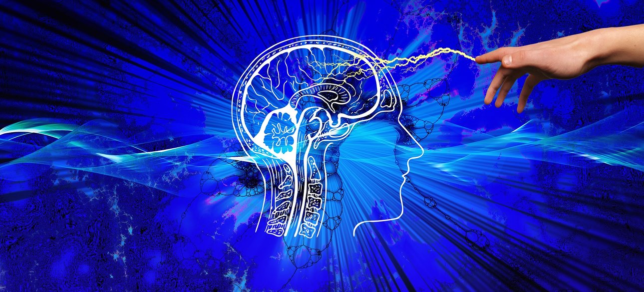 Тренировка человеческого мозга