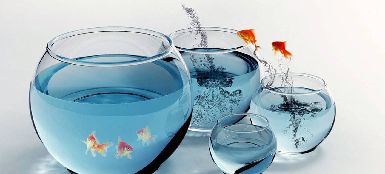 Фото: открытые источники