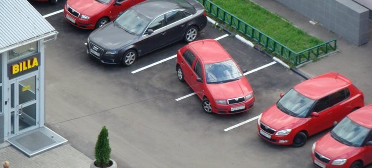 Фото: Новости N