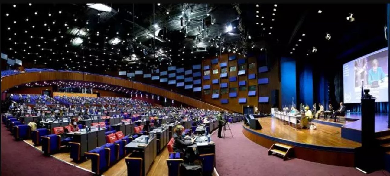 Міжнародний кримінальний суд, гаага, римський статут