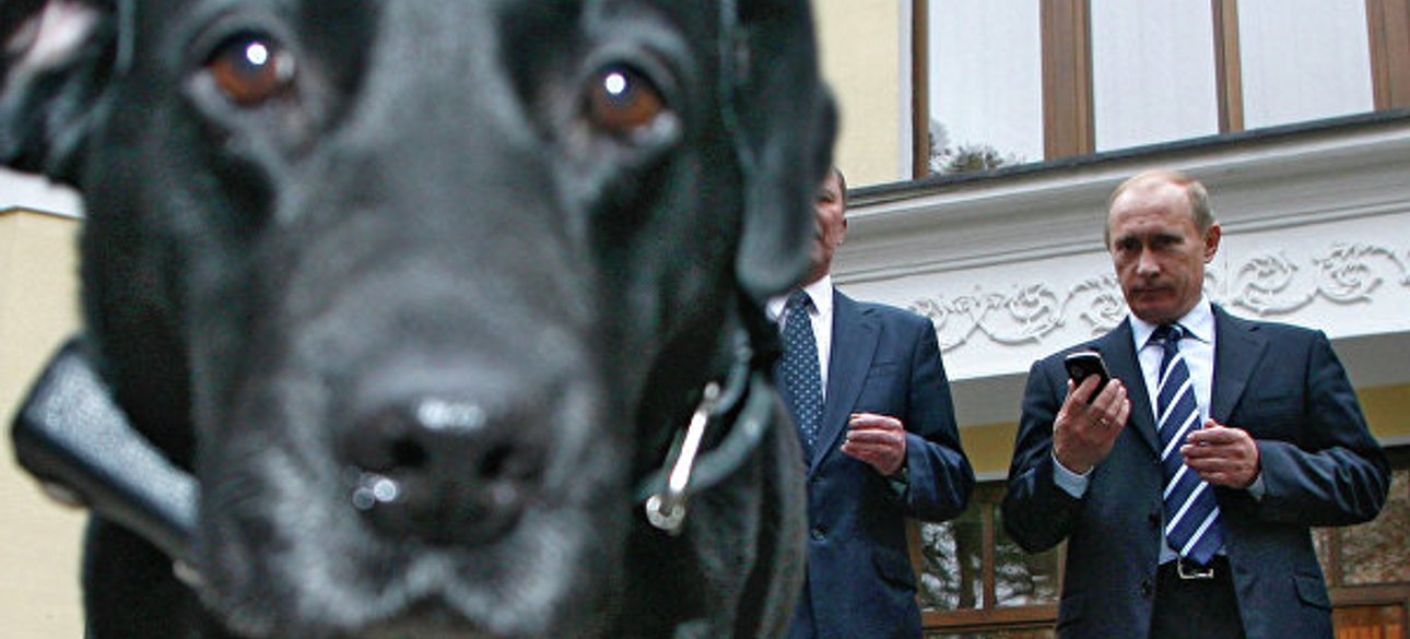 Фото: РИА Новости