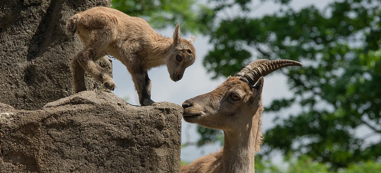 Иллюстративное фото