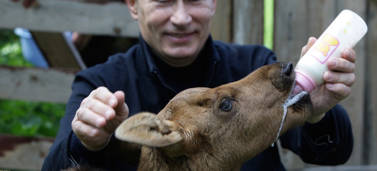 Фото: открытые источники