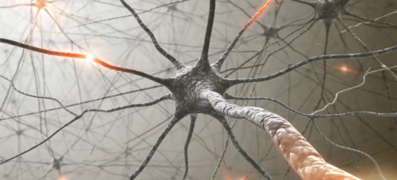 Фото: Аксимед