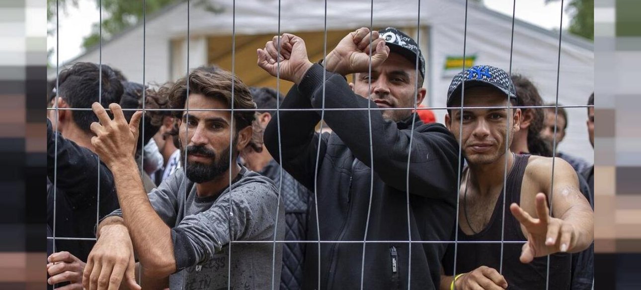 Нелегальные мигранты на польско-белорусской границе