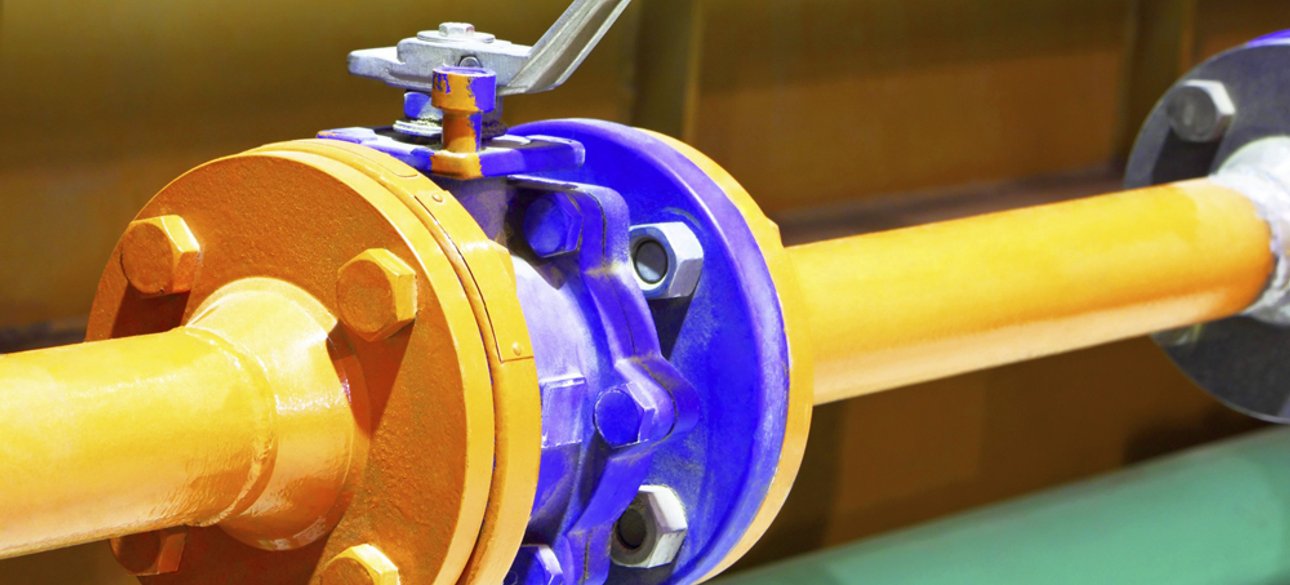 Фото: открытые источники