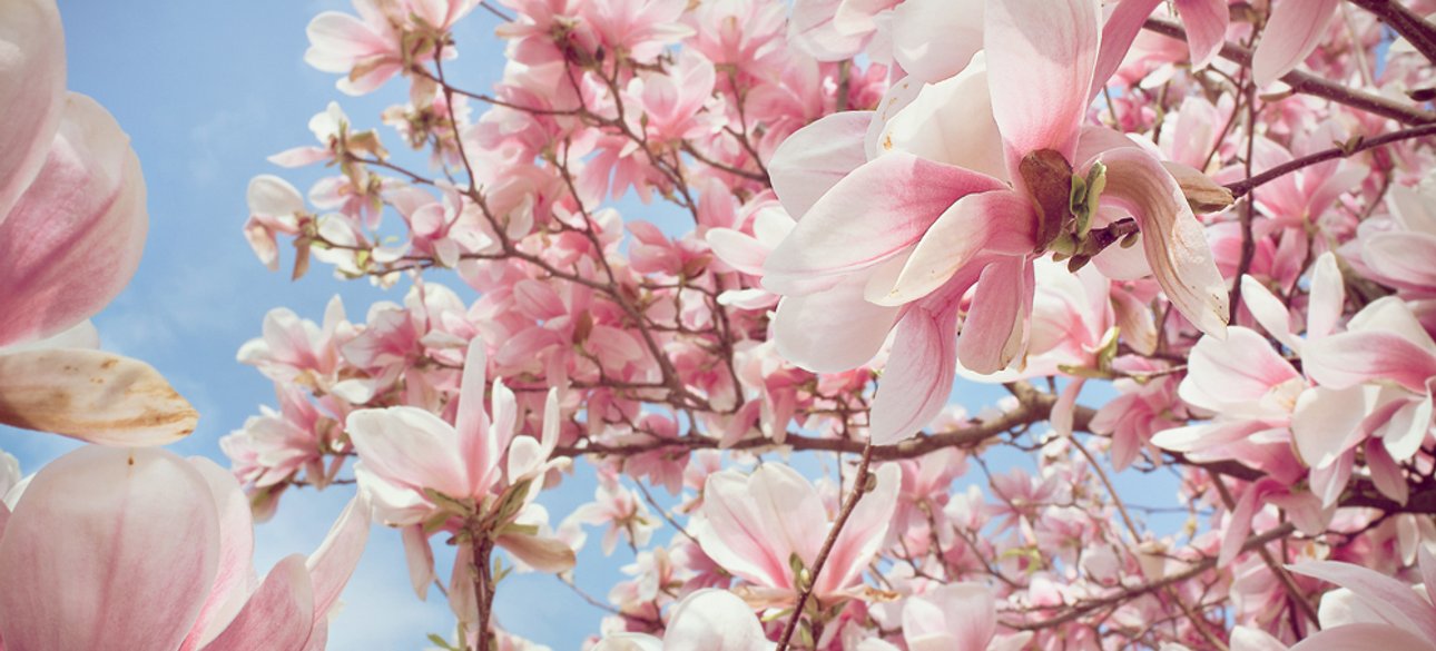 Фото: Getty Images